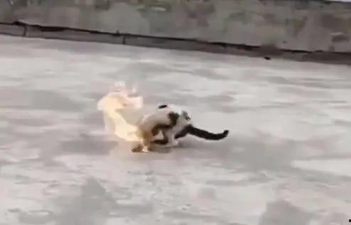 最新爆料虐待学生,最新爆料揭露教师虐待学生骇人真相 第3张 最新爆料虐待学生,最新爆料揭露教师虐待学生骇人真相 第3张